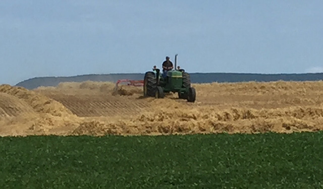 Farmer on tractor