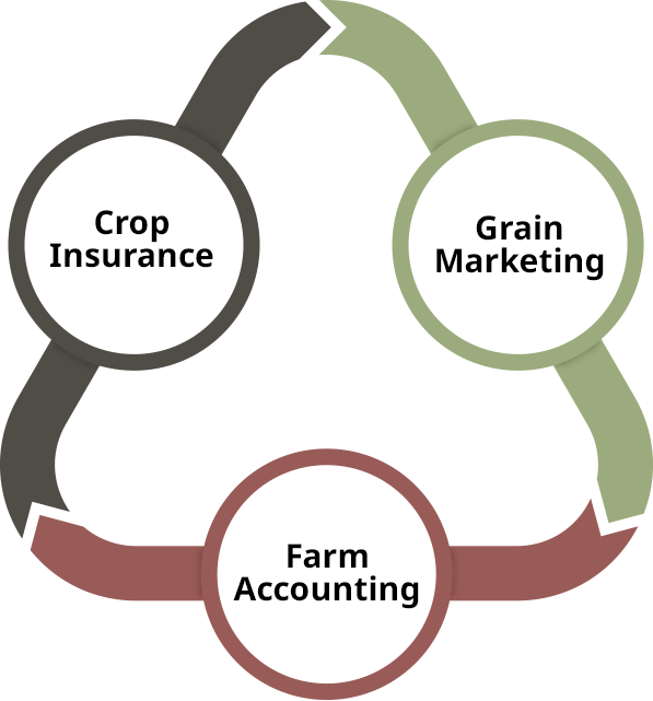 The Salem Company, LLC flowchart