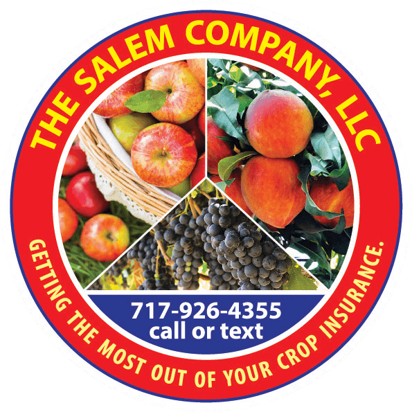 The Salem Company, LLC red logo