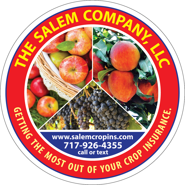 The Salem Company, LLC