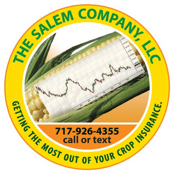 The Salem Company, LLC yellow logo